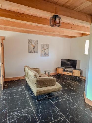 a living room with a couch and a tv at Domaine des Chênes in Saint-Pierre-les-Étieux