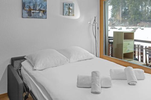 Appartement cosy à 1 minute à pied des pistes de ski