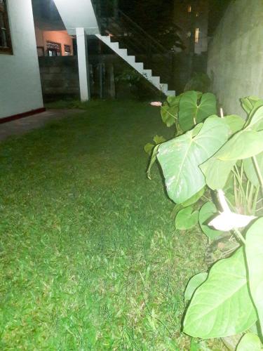 Jardín al aire libre en Paradise Beach House