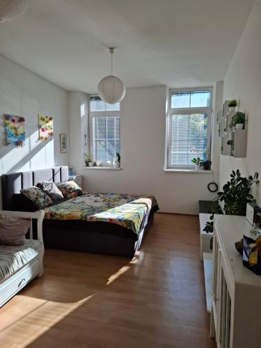 a bedroom with a bed and two windows at Apartmán u parku in Prostějov