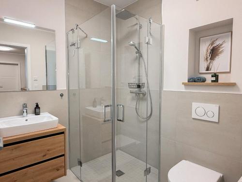 a bathroom with a shower and a sink at Ferienwohnung Seeglück am Dümmer See in Lembruch