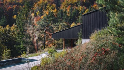 Villa with a pool near a forest, just 20 minutes from downtown Ljubljana