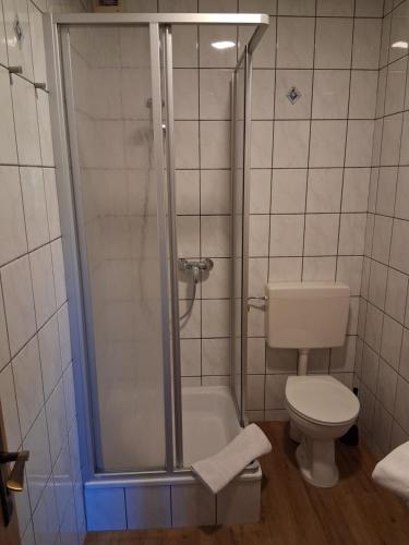 a small bathroom with a toilet and a shower at Gaststätte Zur Hahnenquelle in Kirchhundem