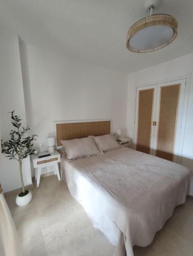 Apartamento Albise