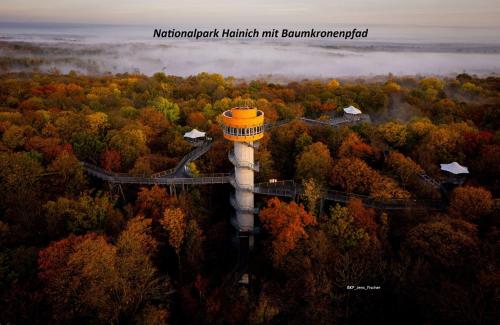 an aerial view of a water tower in the middle of a forest at Ferienhaus Ringelwiese in Schönstedt