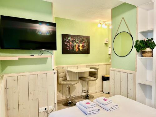 a barber shop with green walls and a tv on the wall at Harmonieux - Studio - Centre Ville in Tarbes