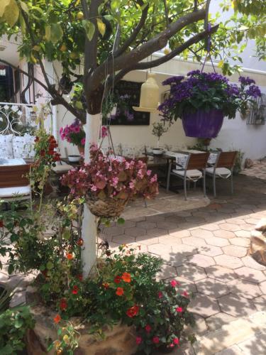 Giardino di Lemon Villa Hotel