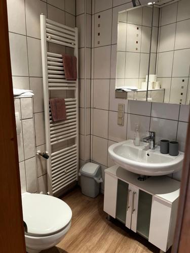 a bathroom with a sink and a toilet and a mirror at Linnenkerlstube in Willingen