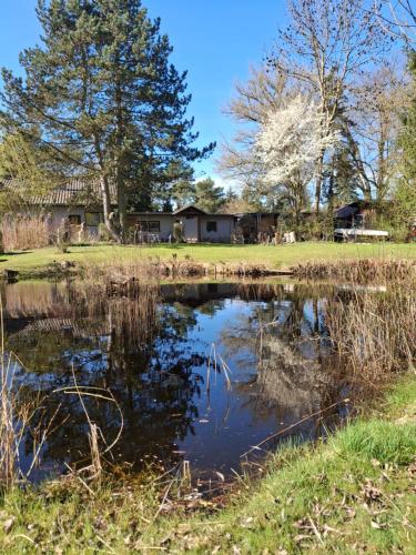 a pond in a field with a house in the background at Waldesruh Strausberg in Strausberg