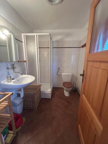 a bathroom with a sink and a toilet and a shower at Andělský sklípek in Dolní Věstonice