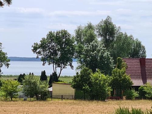a house with trees and the water in the background at Ferienhaus Köhler Am Achterwasser , Urlaub mit Hund in Lütow
