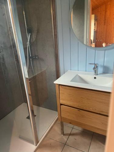 a bathroom with a shower and a sink and a mirror at Chalet en Auvergne -Pêche in Roumégoux