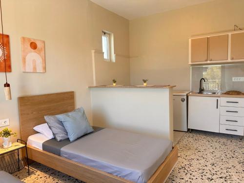 Andreas Premium Apartments - Public Pool near the sea By Villa Mana Gers