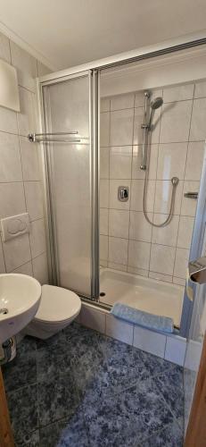 a bathroom with a shower and a toilet and a sink at Frühstückspension Schönblick in Ellmau