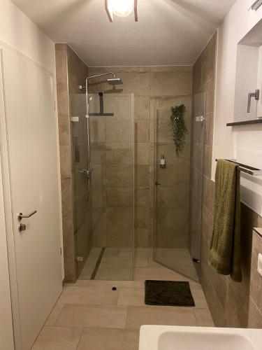 a bathroom with a shower and a sink at Stübchen Nr 37 in Inzigkofen
