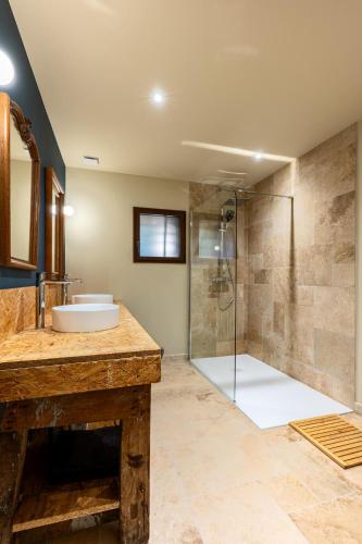 a bathroom with a sink and a shower at Le Magasin à Poudre in Rocroi