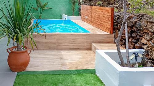 a swimming pool in a garden with a potted plant at GuestReady - El Pinar isla del Hierro in El Pinar del Hierro