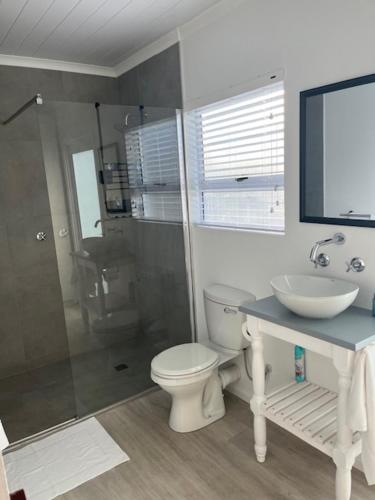 a bathroom with a toilet and a sink and a shower at Net Genoeg in De Kelders
