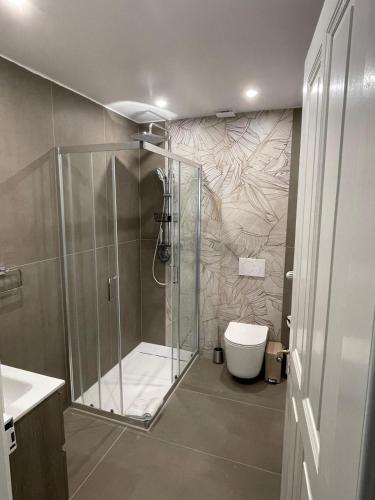 a bathroom with a shower and a toilet at Villa Epoka in Interlaken
