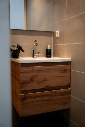a bathroom with a sink and a mirror at It Jachtfjild in Het Jachtveld