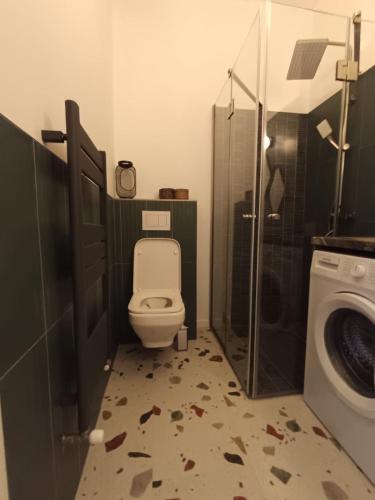a bathroom with a toilet and a washing machine at Zion Central Apartment in Satu Mare