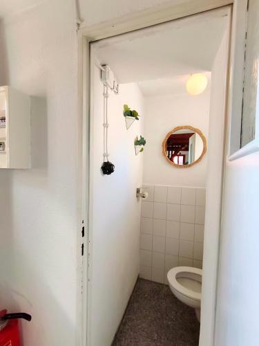 a bathroom with a toilet and a mirror at Globetrotter Apartments in Konstanz