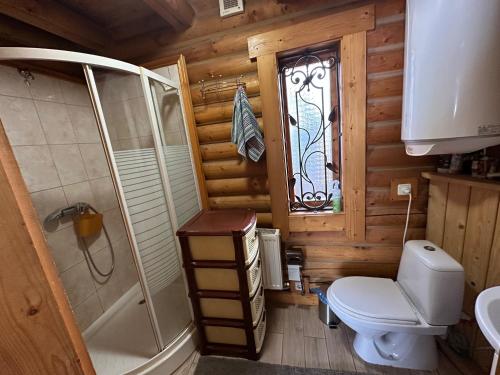 a bathroom with a toilet and a shower and a window at Teremok in Tatariv