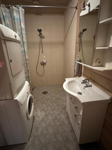 a bathroom with a sink and a shower at Pihlamäe holiday house in Aruvalla