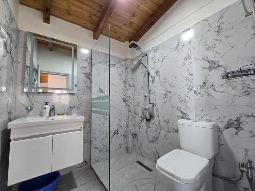 a bathroom with a shower and a toilet and a sink at Arthur's 4Apartments in Borsh