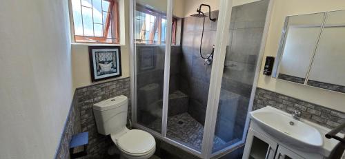 a bathroom with a shower and a toilet and a sink at Apex Ocean and Mountainview in Gordonʼs Bay