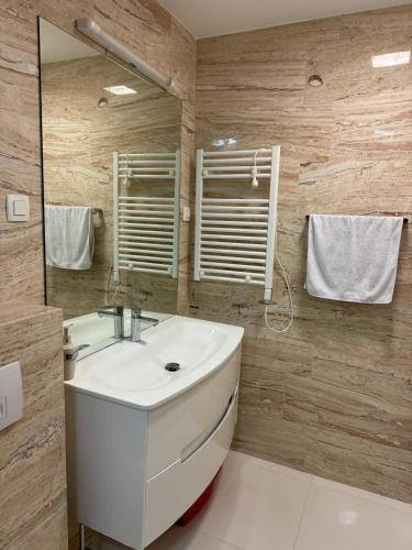 a bathroom with a white sink and a mirror at Tre Canne Vista in Budva