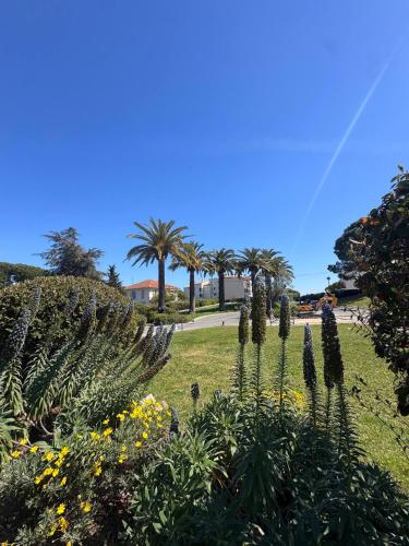 Parc Vélusine - T2 lumineux, 4 couchages, clim, terrasse, parking, 2 piscines&tennis