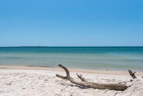 a branch laying in the sand on a beach at Steps to the Beach 3BR Coastal Home Sleeps 10 in Port Saint Joe