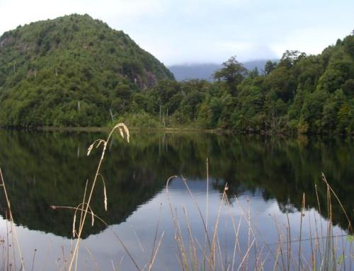 a view of a lake with mountains in the background at Casa Campo Carretera Austral in Puerto Cisnes