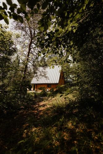 a red barn in the middle of a forest at Chata Szyszka in Męcina Mała