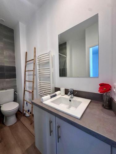 a bathroom with a sink and a toilet and a mirror at Les suites du pont Joffre in Perpignan