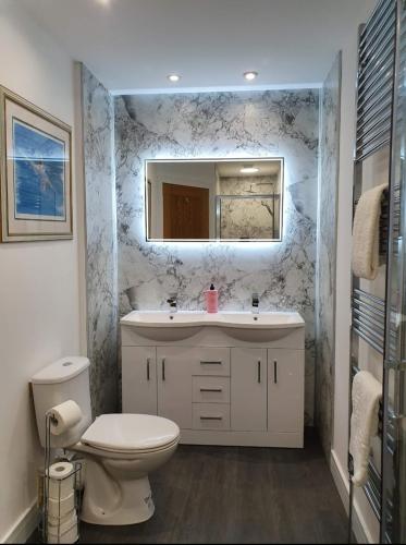 a bathroom with a toilet and a sink and a mirror at Tower Ridge House in Fort William
