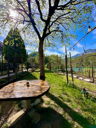 a wooden picnic table sitting next to a tree at Lakeview Escape Koman in Koman