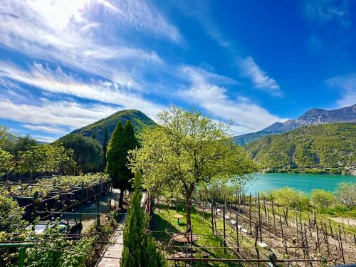 a vineyard with a view of a lake and mountains at Lakeview Escape Koman in Koman
