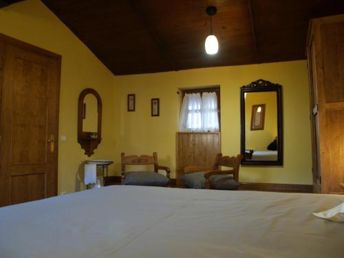 a bedroom with a large bed and a mirror at La casa del Vado in Hervás