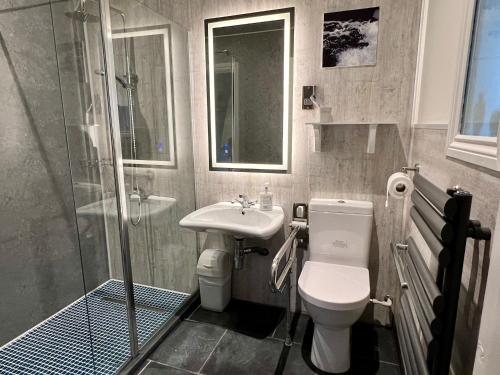 a bathroom with a toilet and a sink and a shower at Loom Cottage, Preseli Venture in Haverfordwest