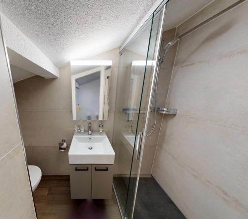 a bathroom with a sink and a shower at Apartmenthouse Viktoria in Bern in Bern