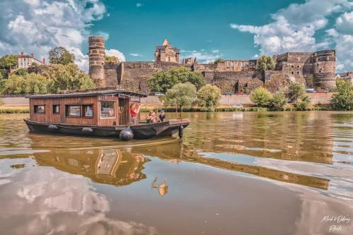 a boat on the water in front of a castle at Les Toues Angevines in Angers