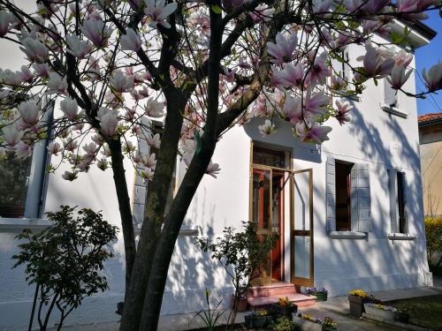 a magnolia tree in front of a white house at Mirella's House in Padova