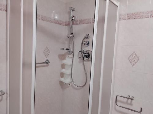 a shower with a glass door in a bathroom at B&B Casa Orchidea in Baragazza