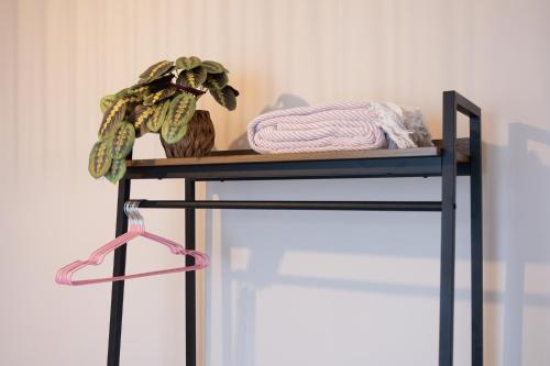 a shelf with a plant on top of it at Pump House Apartments in Derry Londonderry