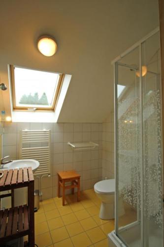 un bagno con doccia, WC e finestra di Lasgorceix a Saint-Léger-la Montagne