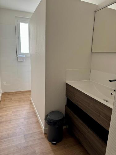 a bathroom with a sink and a mirror at Maison Colonel Teyssier in Albi
