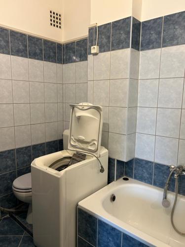 a bathroom with a washing machine and a toilet at Szekcsői Kuckó in Kaposszekcső