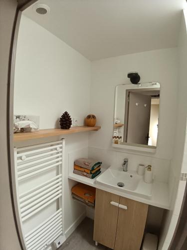 a bathroom with a sink and a mirror at la demeure des songes in Josselin